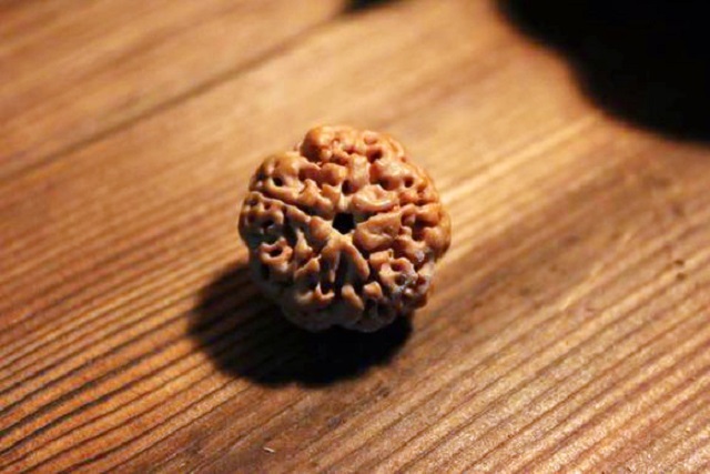 极品金刚菩提怎样挑选，金刚菩提籽多少钱一颗？你想知道的都在这