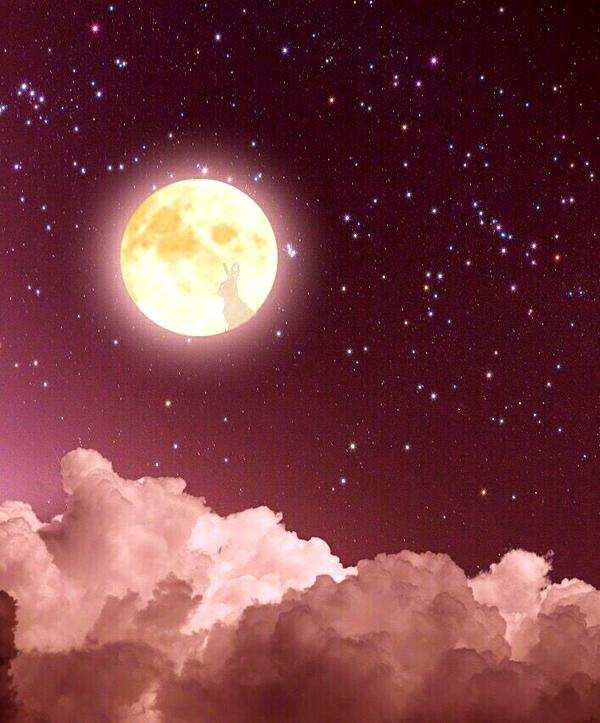 赵丽颖为了真爱不顾一切,赵丽颖为爱奋不顾身