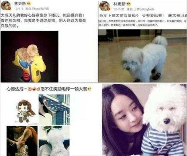 赵丽颖为了真爱不顾一切,赵丽颖为爱奋不顾身