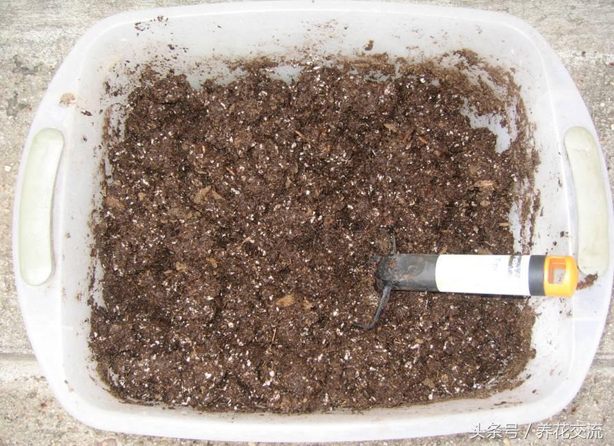 花土通用营养土怎么使用,花盆中的营养土是如何配制的