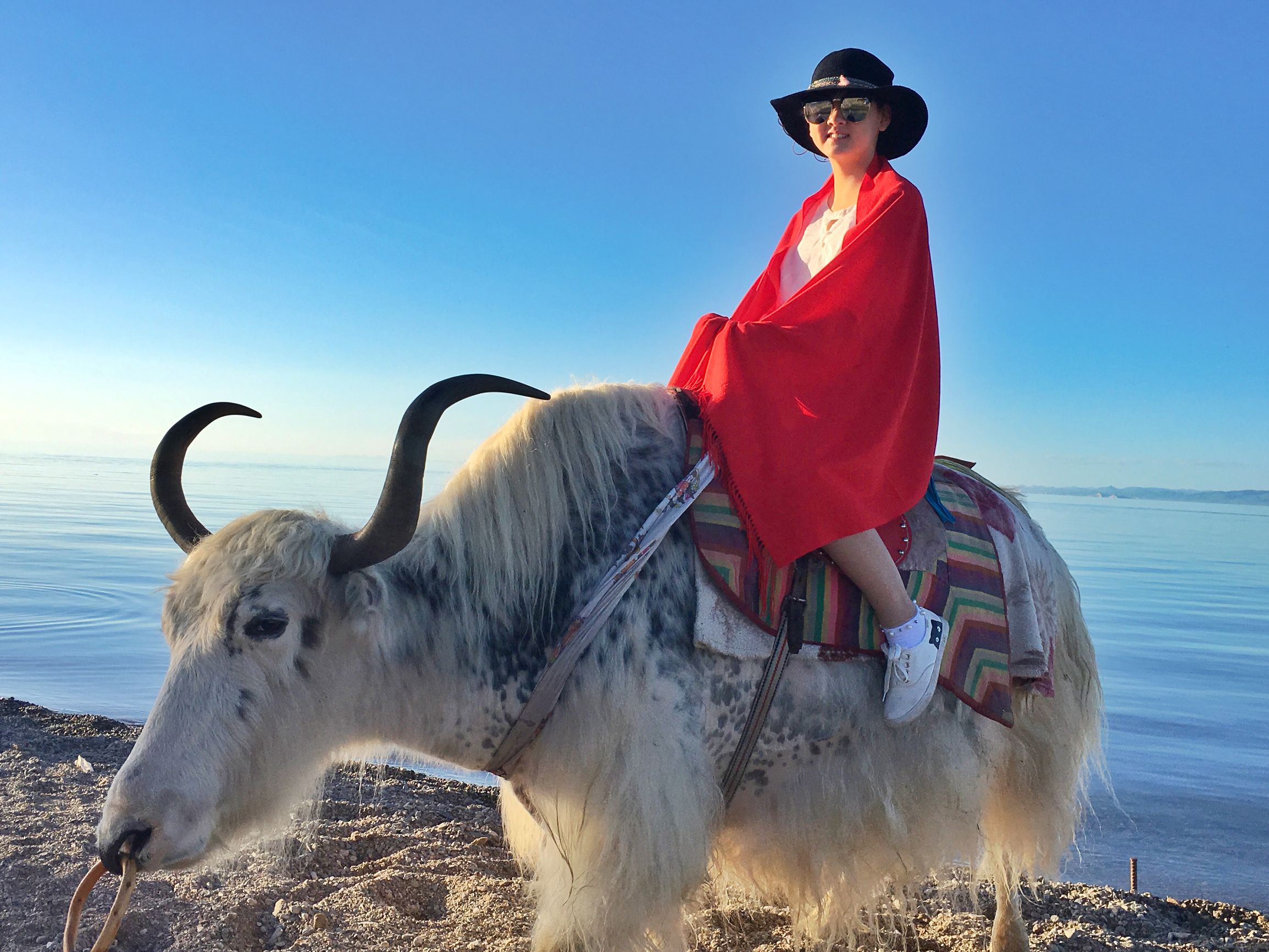 深邃的蓝，梦幻的蓝，是我的青海我的湖