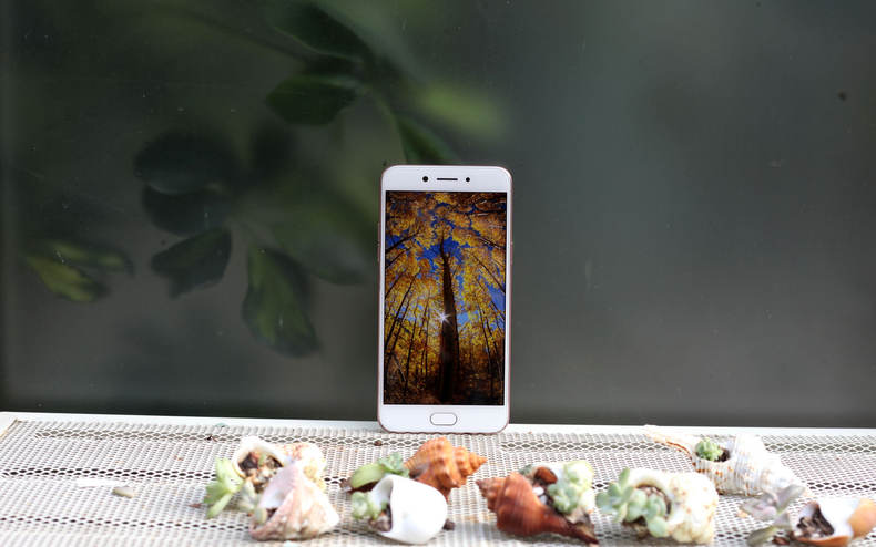 A77综合评测:美貌与性能完美结合的均衡之作