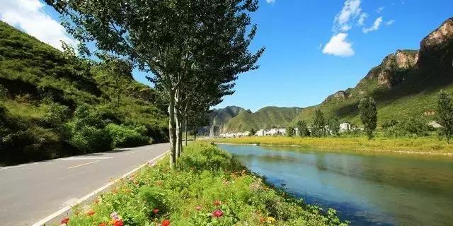 “麻麻，那是什么花？”“麻麻花呀！”