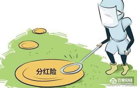 云掌财经丨你知道“分红险”赚钱吗?又有哪些产品值得投资?