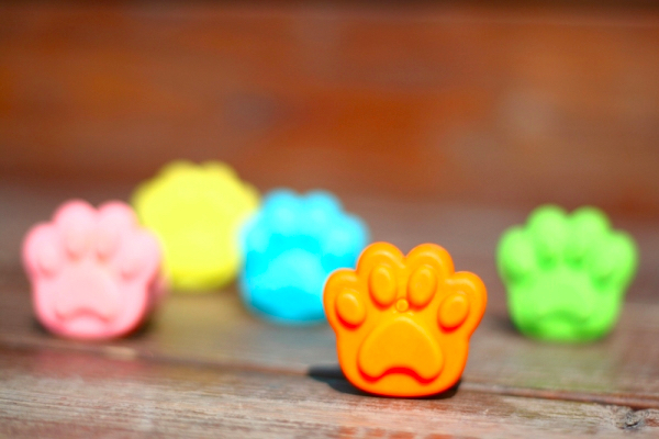 不要说我孤独，我还有猫