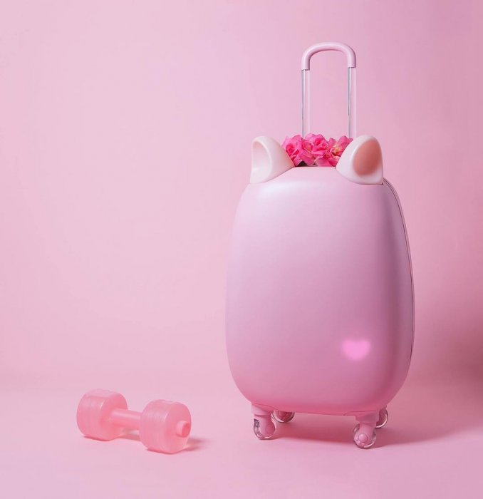 不要说我孤独，我还有猫