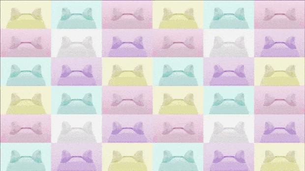 不要说我孤独，我还有猫