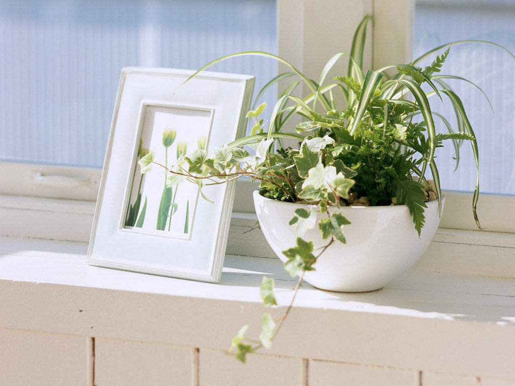 成都装修板材甲醛检测,成都装修污染治理方法