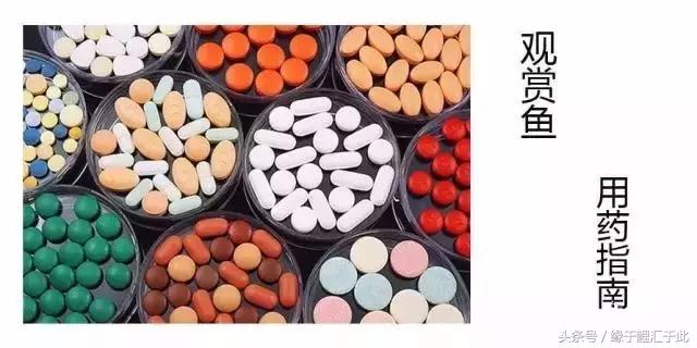 鱼药的使用规范,鱼药十大禁忌