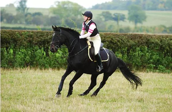 初学骑马的技巧视频,新手骑马的基本要领有哪些呢