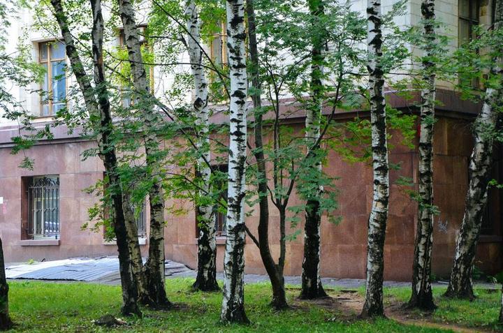 感受战斗民族的霸气,感受战斗民族的热情