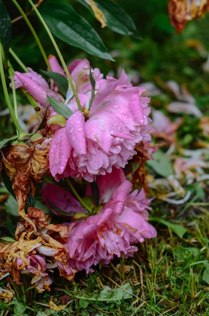 感受战斗民族的霸气,感受战斗民族的热情