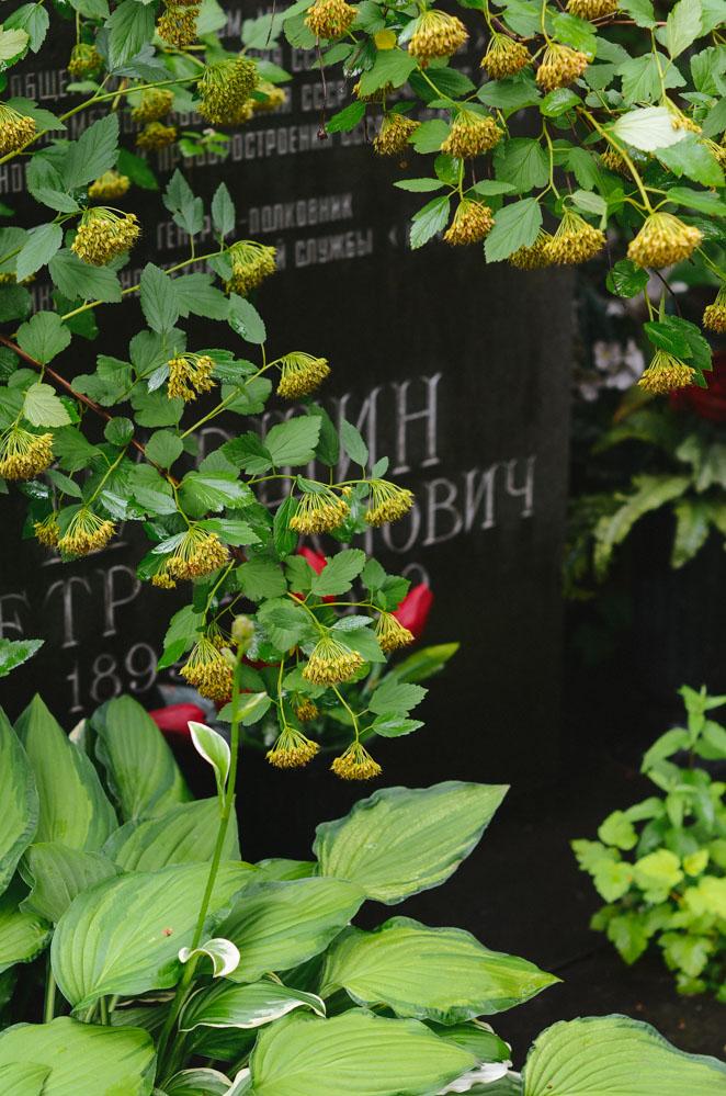 感受战斗民族的霸气,感受战斗民族的热情