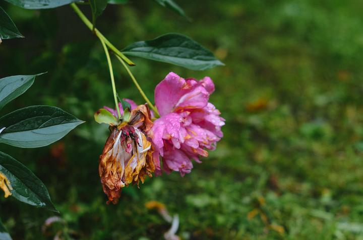 感受战斗民族的霸气,感受战斗民族的热情