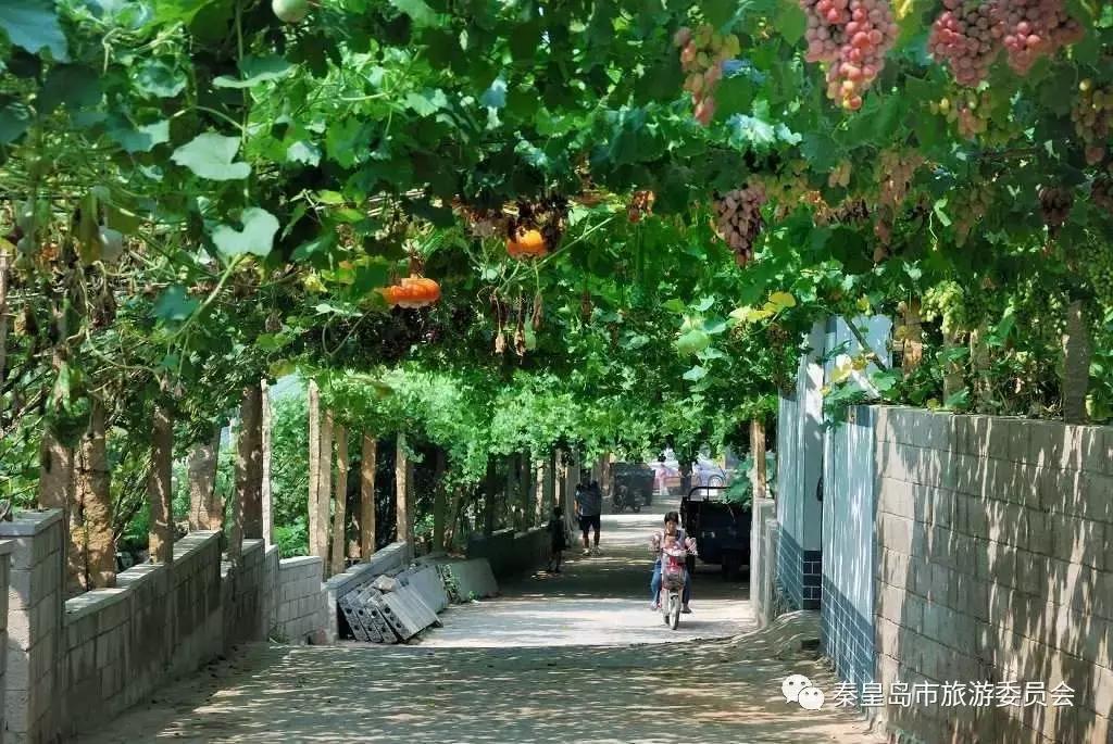 秦皇岛的特产有哪些,秦皇岛拿得出手的特产有哪些