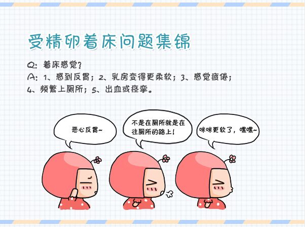 精子胚胎发育全过程,精子卵子发育过程