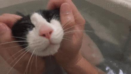 你们那管洗澡搓下来的泥叫什么?我们这叫“人渣”