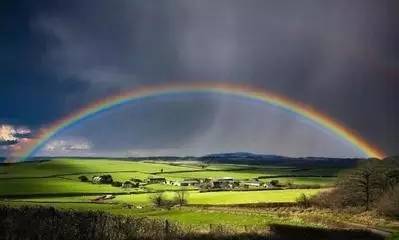 词风雅韵-冯振宇｜十里荷塘菡萏香一河碧水秀波光