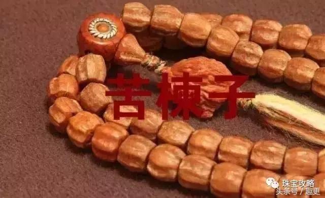 百香籽没黑点是假的吗,百香籽5厘米的是假货吗