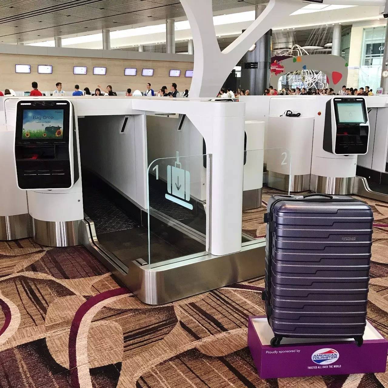 新加坡樟宜国际机场t4航站楼购物,新加坡樟宜机场4号航站楼