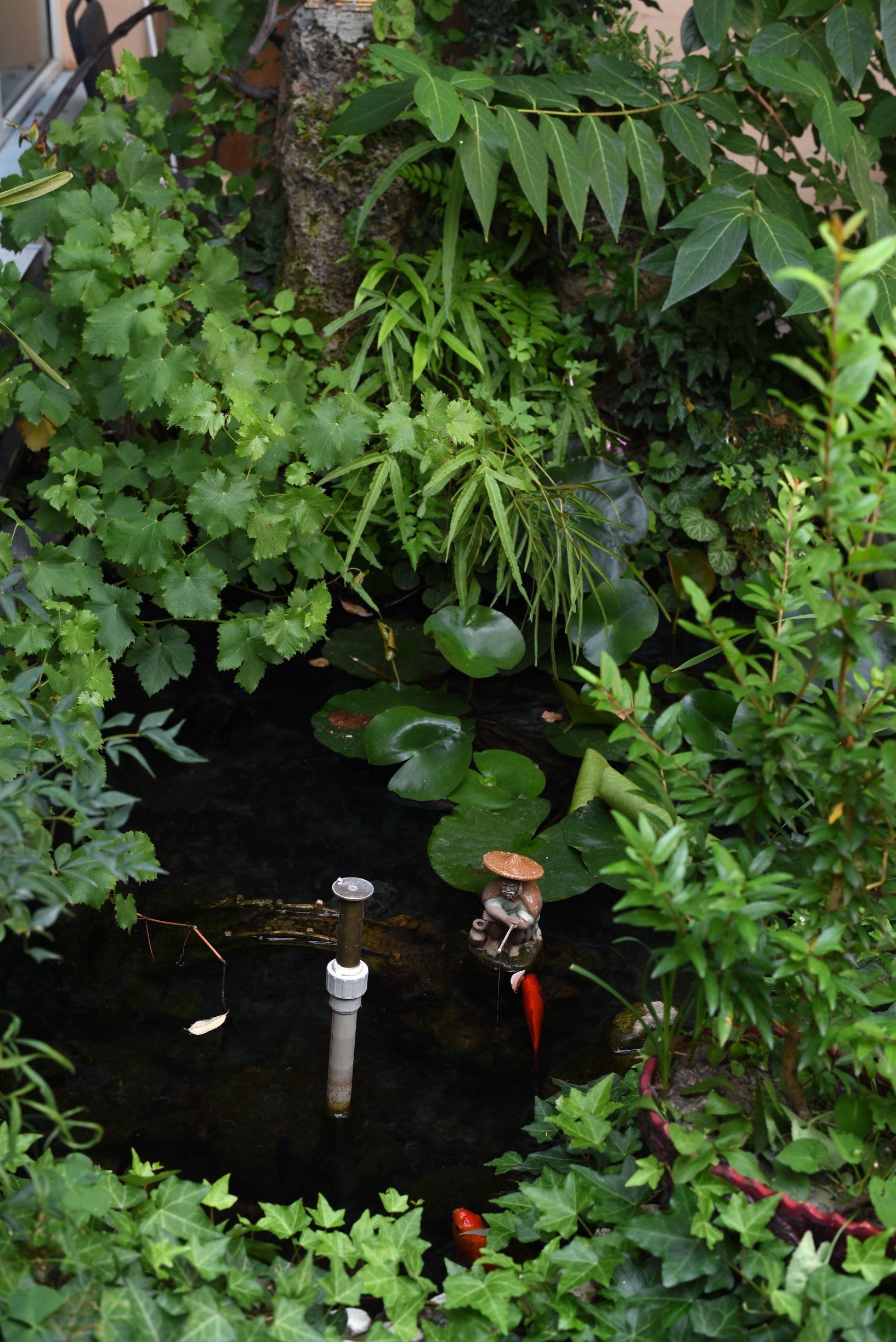 四川阿坝茂县美景,四川茂县简介