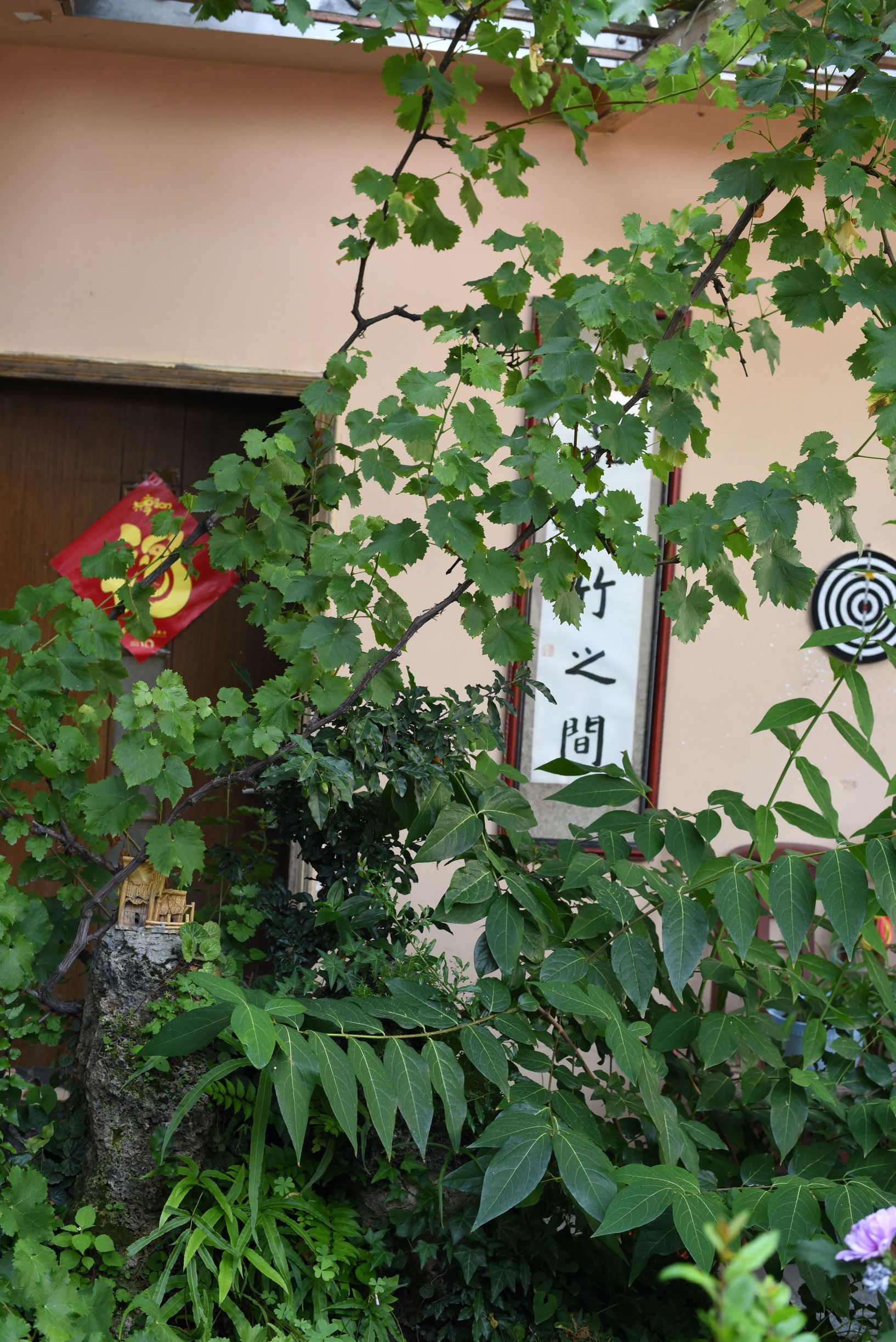 四川阿坝茂县美景,四川茂县简介