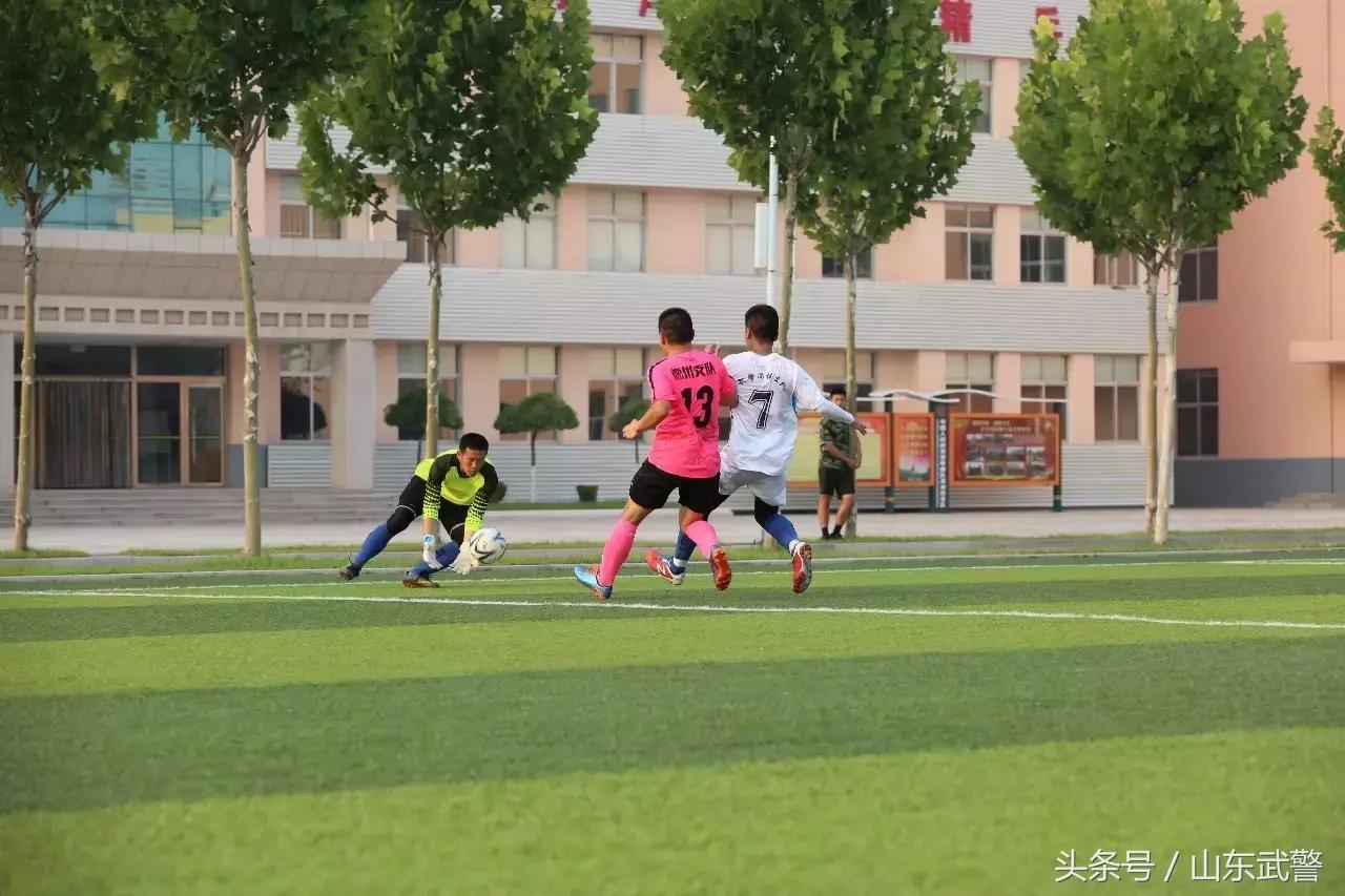 卫士动力视频,卫士动力杯