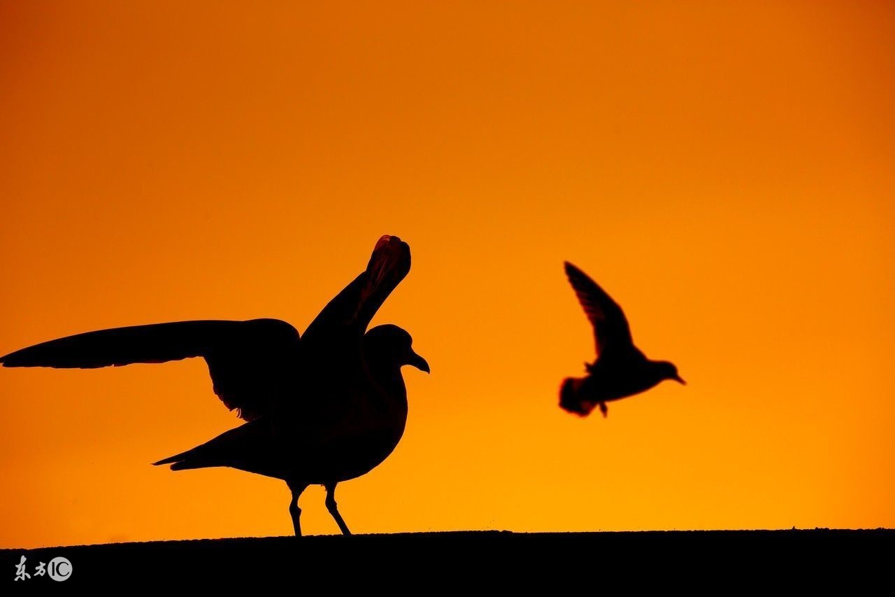 赢在起点的好处,赢在起点会被叫停吗