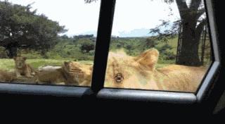 看完电影就送女孩回家了,看完电影就回家