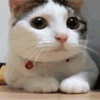 野外真人cs枪战推荐,长沙真人cs枪战户外场地