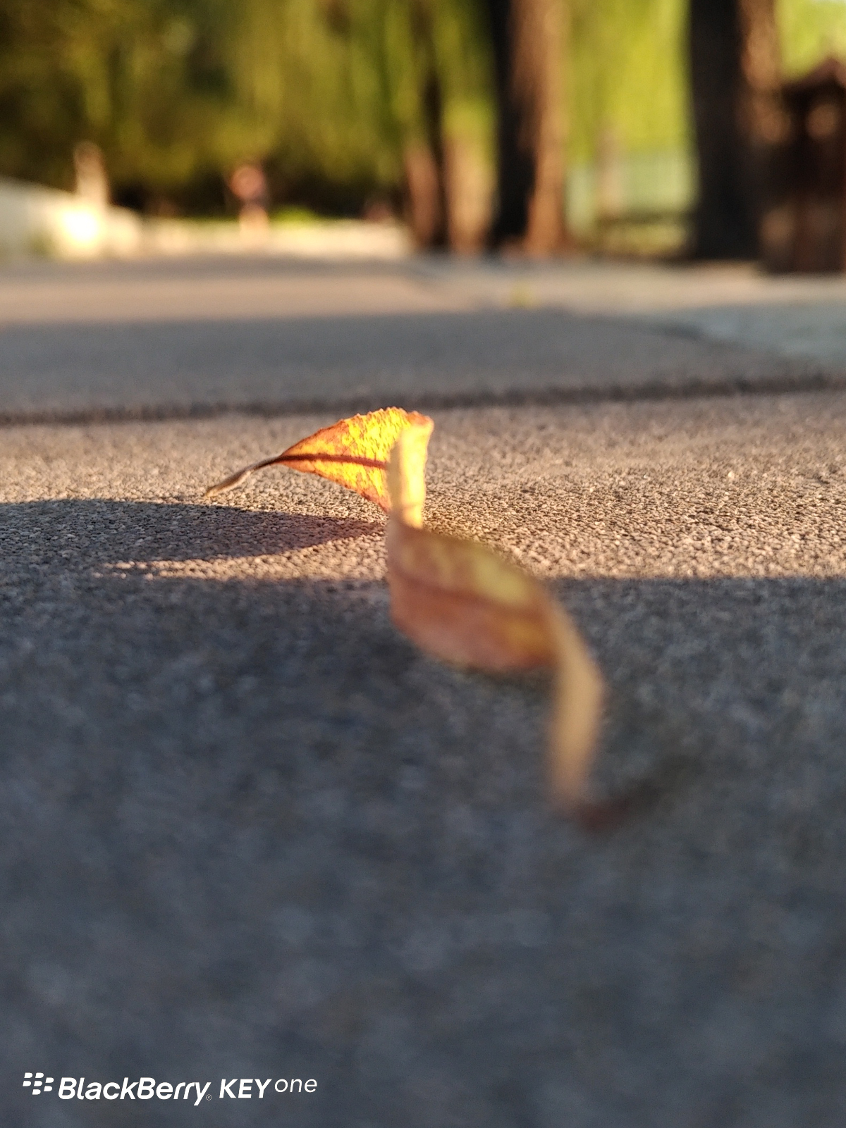 不仅仅拥有个性和安全，黑莓KEYone的拍照体验