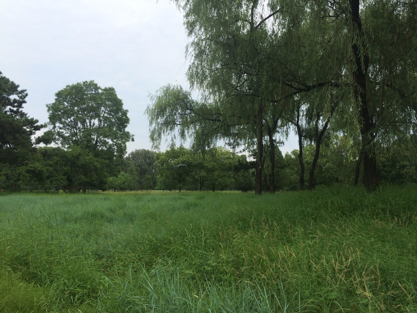 承德15人的民宿推荐,承德紫塞网农家院攻略