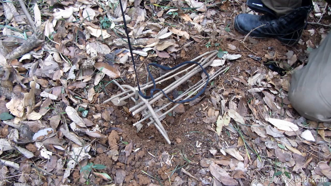 荒野求生下陷式野兔野鸡吊脚套陷阱