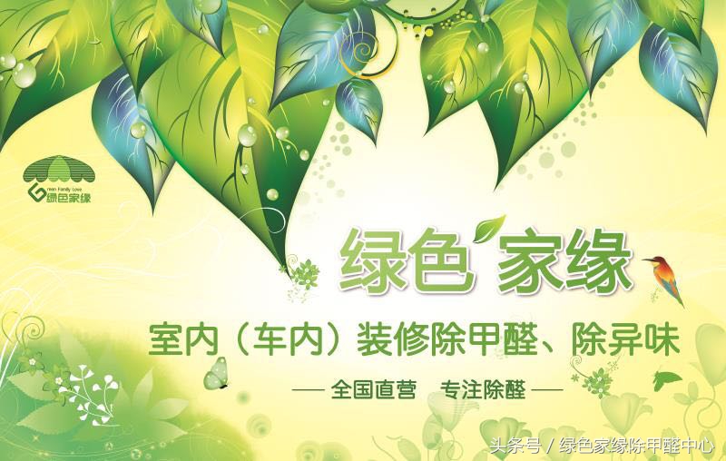 上海除甲醛公司如何专业治理甲醛,宝山区有效除甲醛技术有哪些