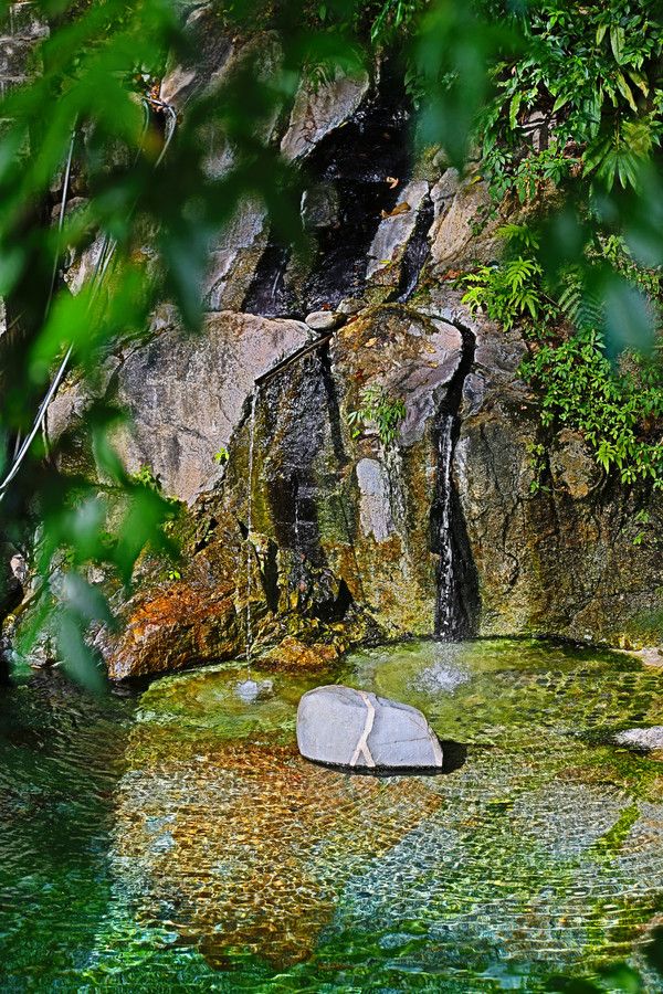 腾冲樱花谷风景区,腾冲十里樱花风景区