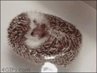 你们那管洗澡搓下来的泥叫什么?我们这叫“人渣”