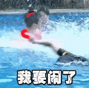 我好像爱上了假的“王俊凯”调皮凯上线