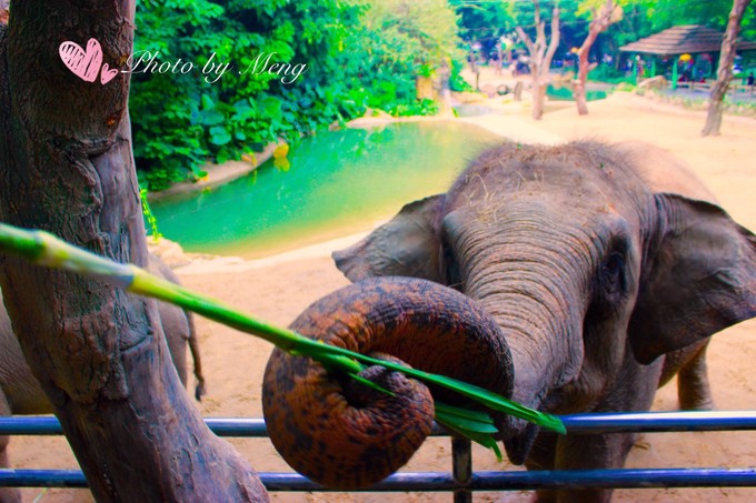 广州长隆水上乐园亲子游攻略视频,珠海长隆海洋快速通道亲子游攻略