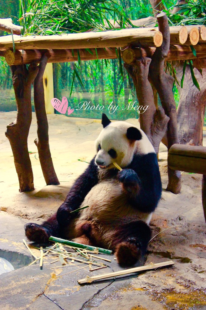 广州长隆水上乐园亲子游攻略视频,珠海长隆海洋快速通道亲子游攻略