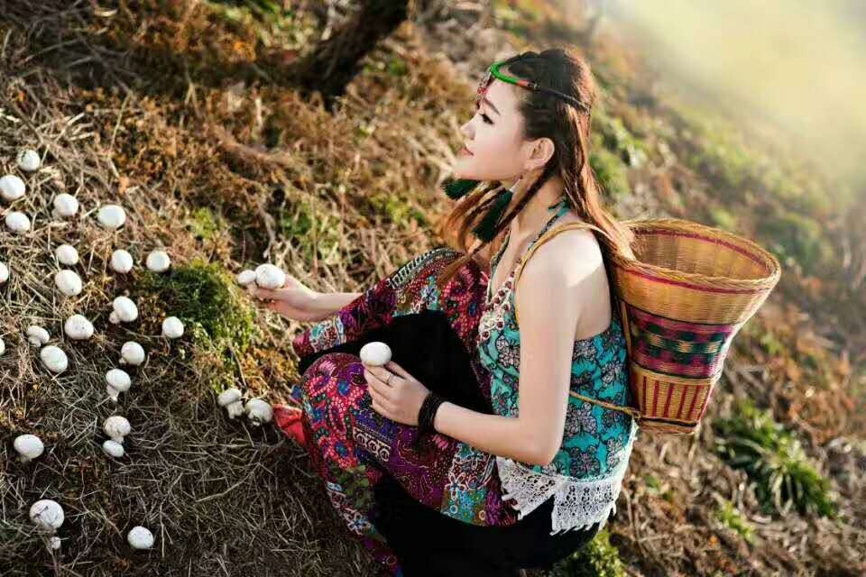 词风雅韵-冯振宇｜十里荷塘菡萏香一河碧水秀波光