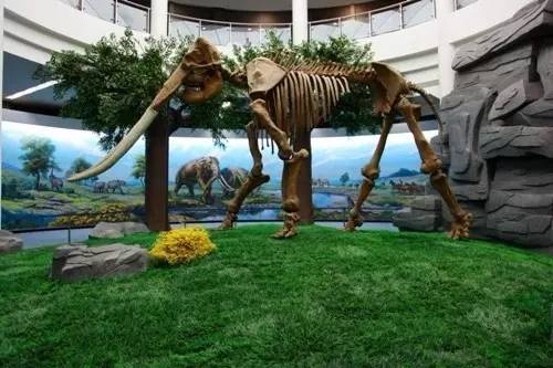 全国唯一的国家级大学博物馆,全国第一家高校博物馆