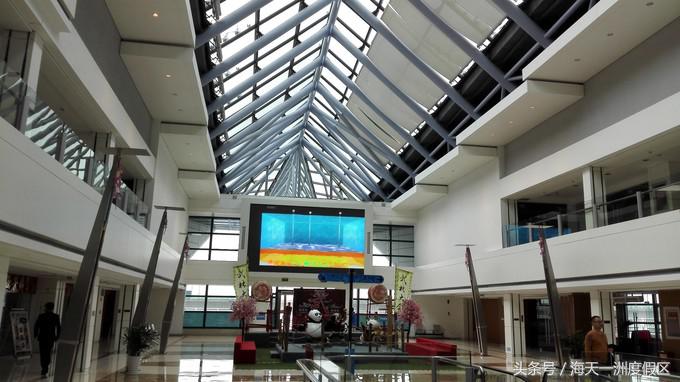 杭州自驾到舟山旅游攻略,杭州湾自驾游一日游