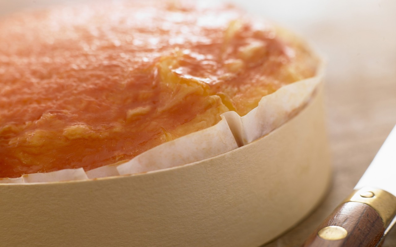 十年一盏琼瑶浆，了送浮生