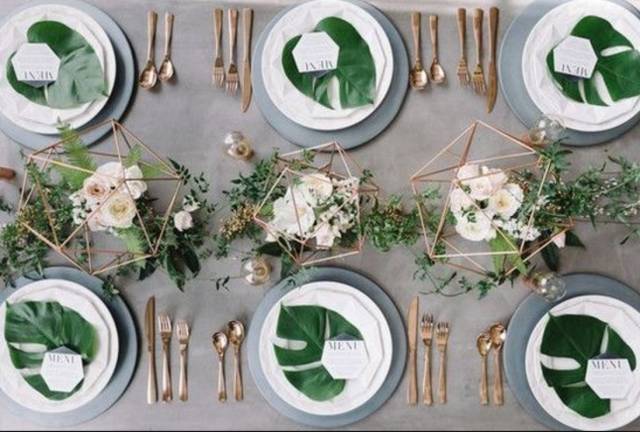 食欲好、拍照好……这么貌美的植物餐盘,我想不出拒绝理由