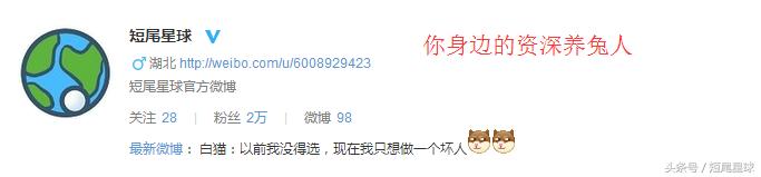 兔兔球虫症状多久会死,兔兔球虫病会自愈吗