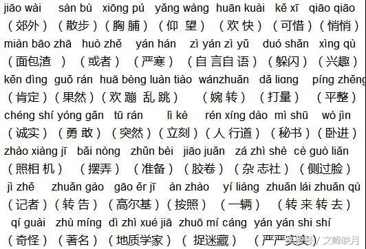 三年级上册语文期末单元复习要点,部编版语文三年级上册知识要点