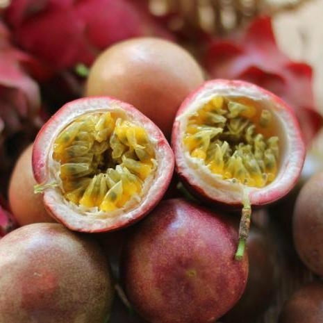 精明女人早就不种花草了，都在种这些果树苗，好看还好吃