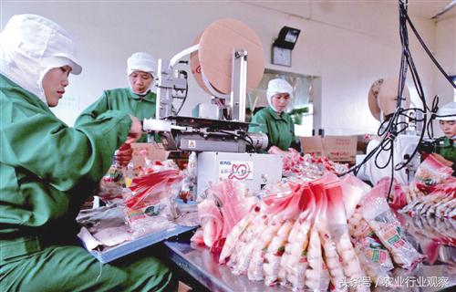 三农日报｜村淘S2B2C模式是何物；温氏发布养殖行业5点判断