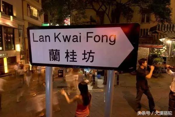 香港人喝啥啤酒,香港人为什么喜欢喝酒