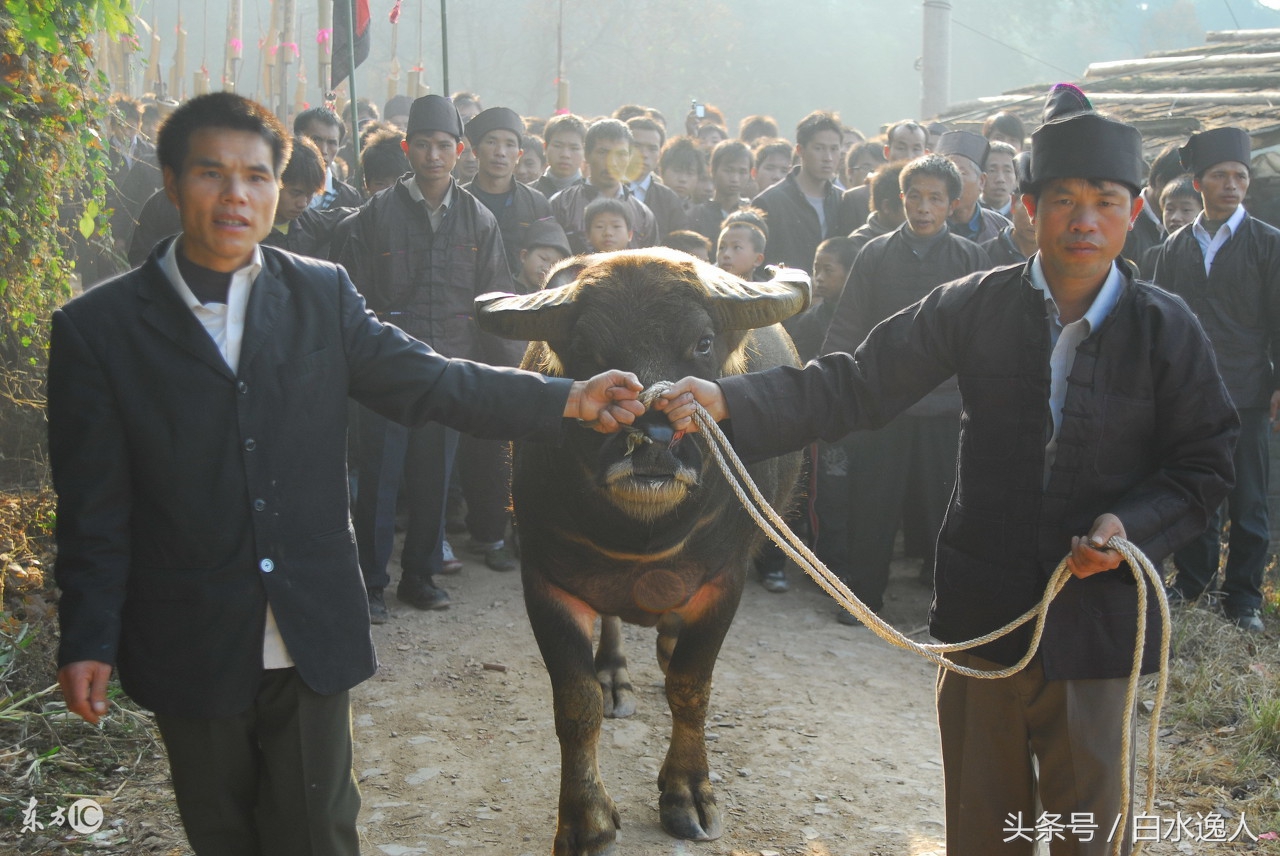 襄阳民间的笑话,襄阳笑话完整视频